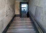 DSC_1172
