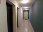 hall distribucion