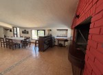 IMG_1087