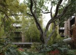 GREEN INTERNAL PATIO